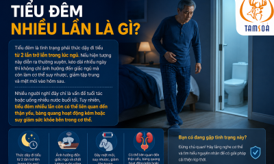 Tiểu Đêm Nhiều Lần Là Gì?