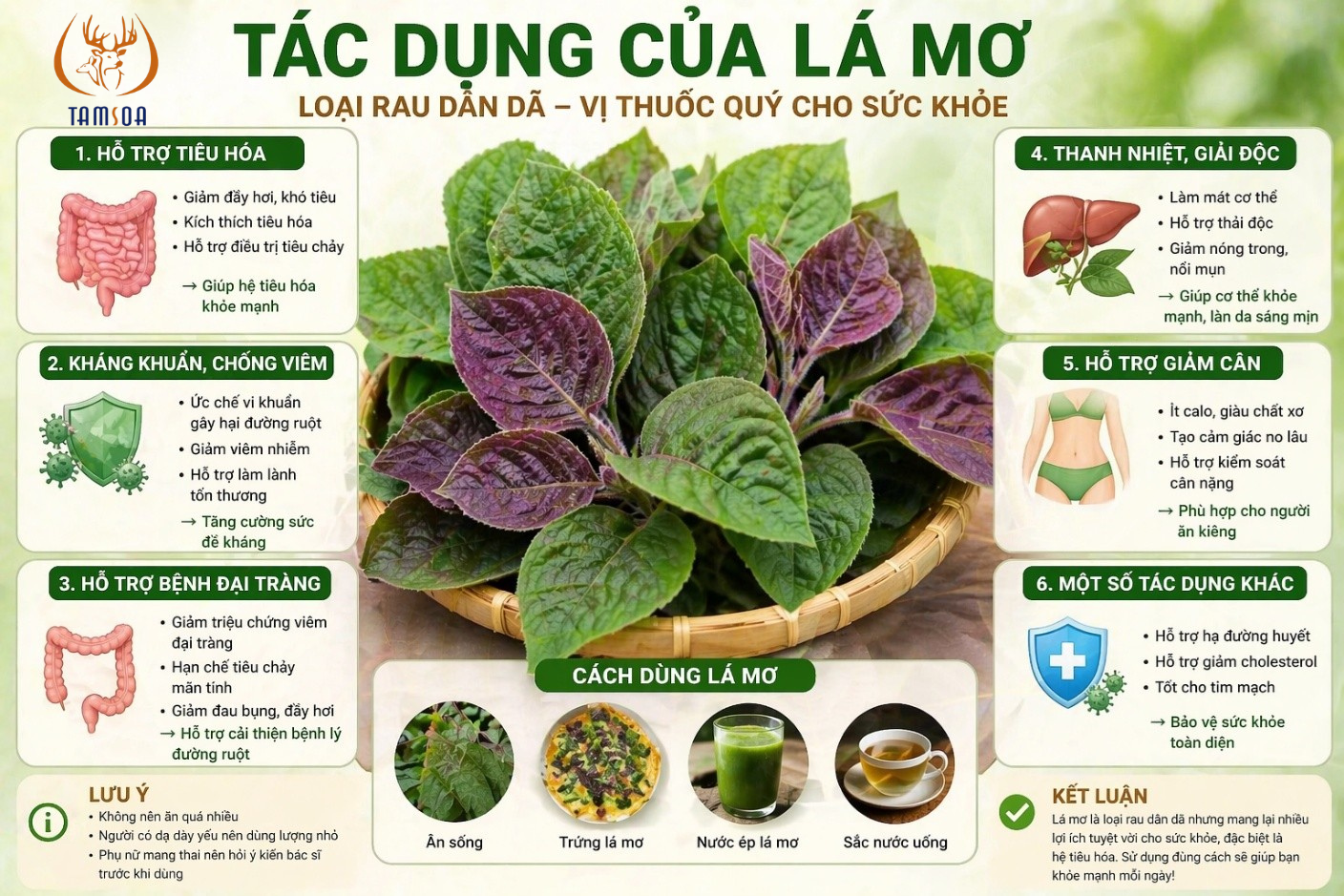 Công dụng của lá mơ