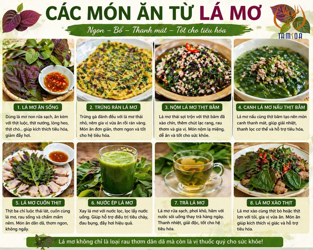 Các món ăn chế biến từ lá mơ