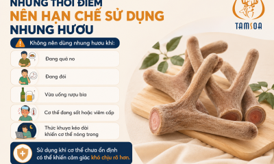 Những thời điểm nên hạn chế sử dụng nhung hươu
