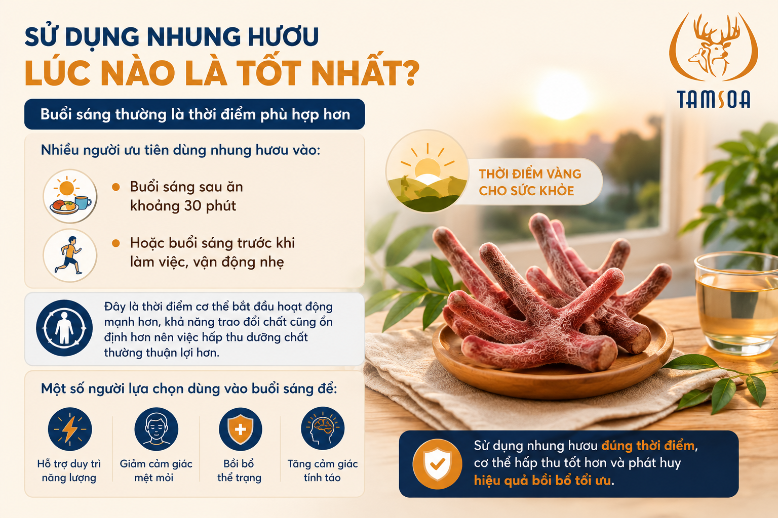 Sử dụng nhung hươu lúc nào là tốt nhất