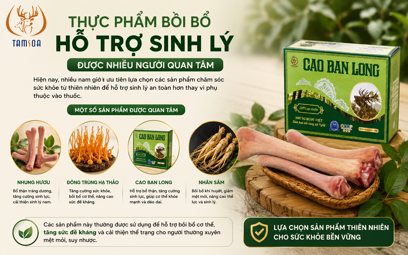 Thực Phẩm Bồi Bổ Hỗ Trợ Sinh Lý Được Nhiều Người Quan Tâm