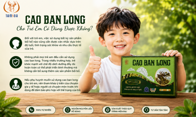 Cao Ban Long Cho Trẻ Em Có Dùng Được Không?