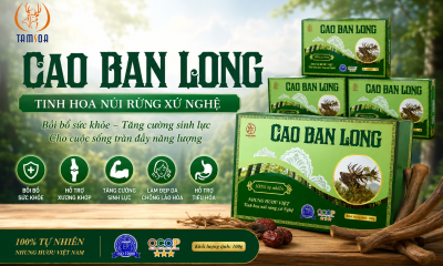 Công Dụng Tuyệt Vời Của Cao Ban Long