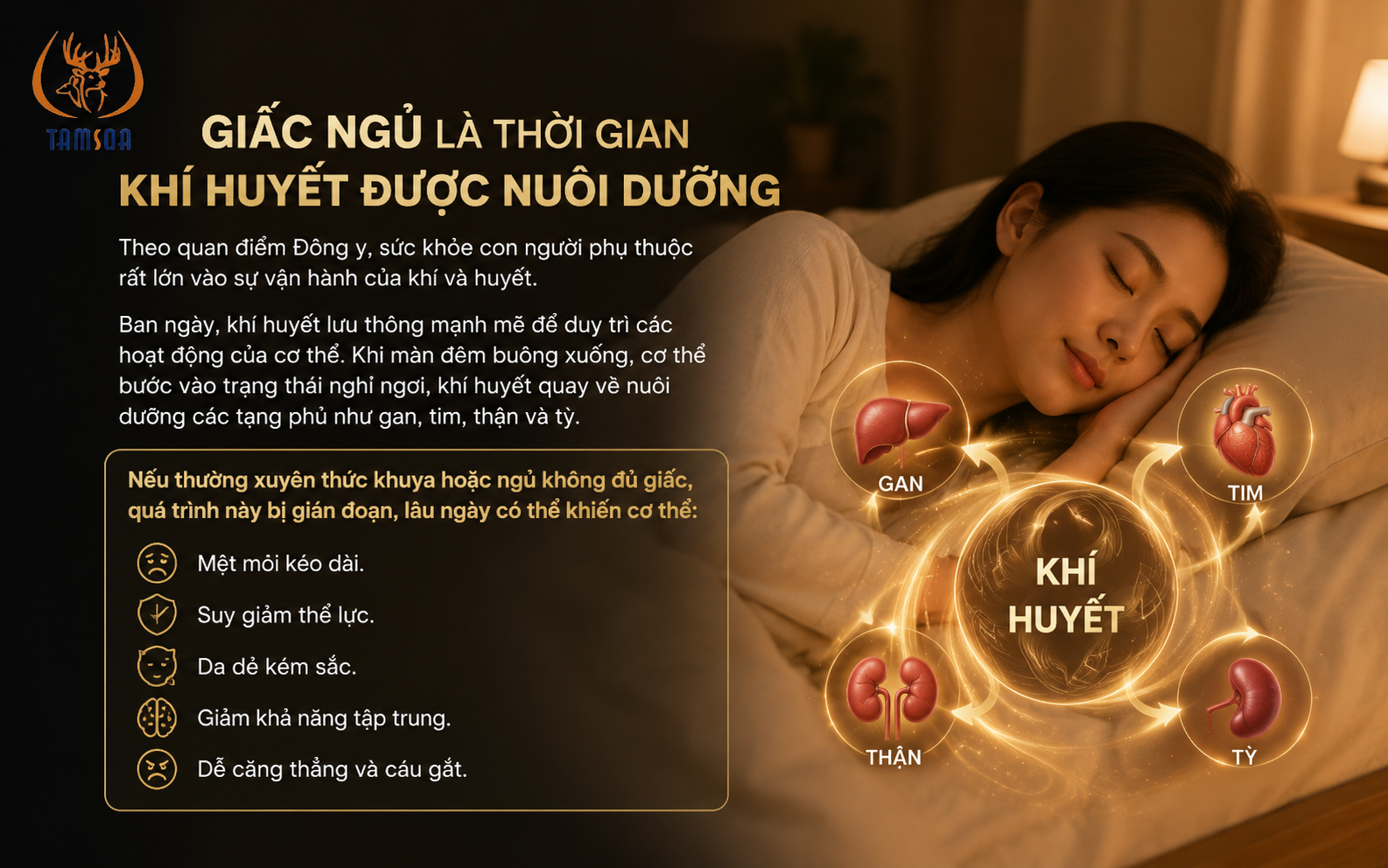Giấc Ngủ Là Thời Gian Khí Huyết Được Nuôi Dưỡng Giấc Ngủ Là Thời Gian Khí Huyết Được Nuôi Dưỡng