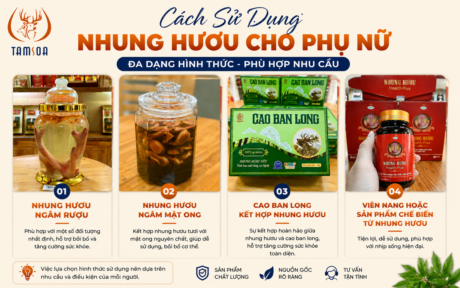 Cách Sử Dụng Nhung Hươu Cho Phụ Nữ Cách Sử Dụng Nhung Hươu Cho Phụ Nữ