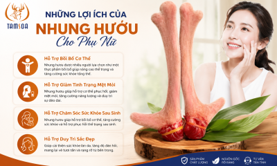 Những Lợi Ích Của Nhung Hươu Cho Phụ Nữ
