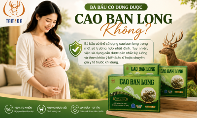 Bà Bầu Có Dùng Được Cao Ban Long?
