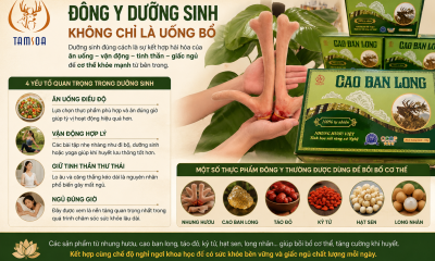 Đông Y Dưỡng Sinh Không Chỉ Là Uống Bổ