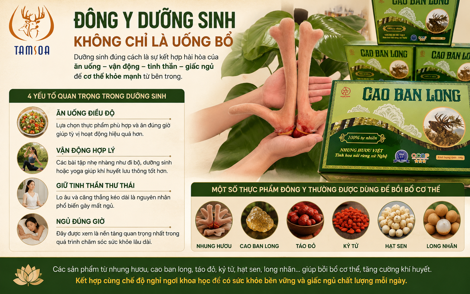 Đông Y Dưỡng Sinh Không Chỉ Là Uống Bổ Đông Y Dưỡng Sinh Không Chỉ Là Uống Bổ