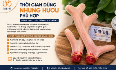 Lộ Trình Dùng Nhung Hươu Phù Hợp