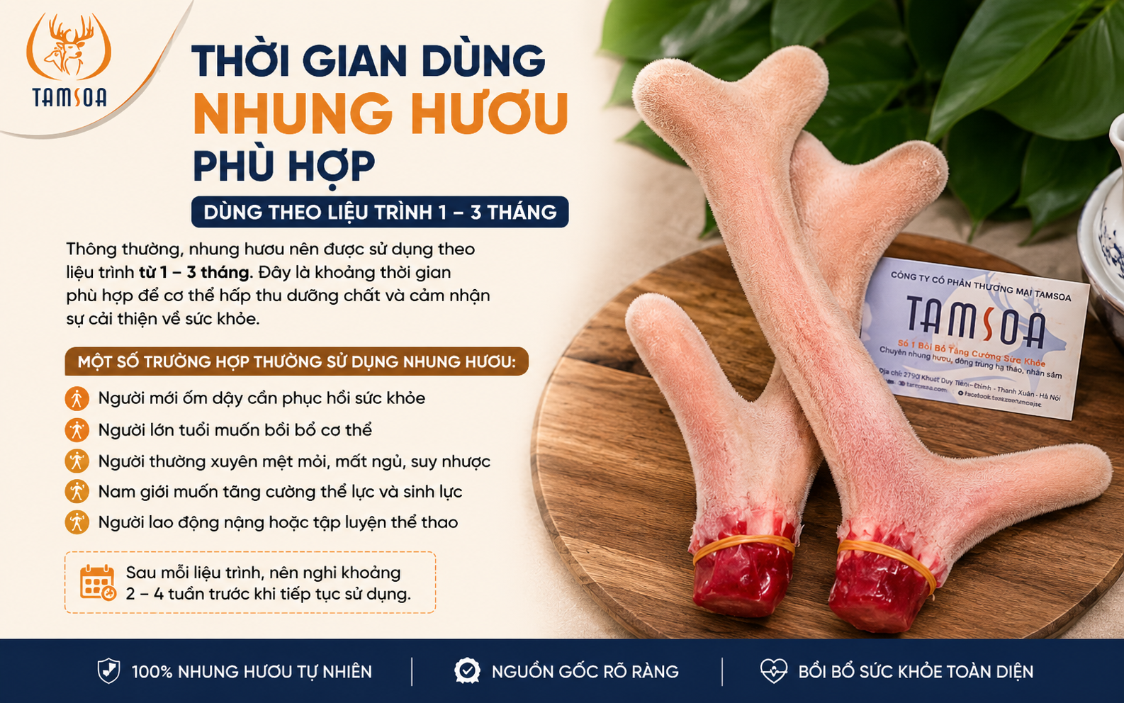 Lộ Trình Dùng Nhung Hươu Phù Hợp Lộ Trình Dùng Nhung Hươu Phù Hợp