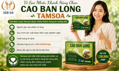 Vì Sao Nhiều Khách Hàng Chọn Cao Ban Long Tamsoa?