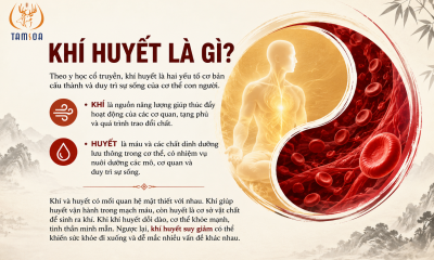 Khí Huyết Là Gì?