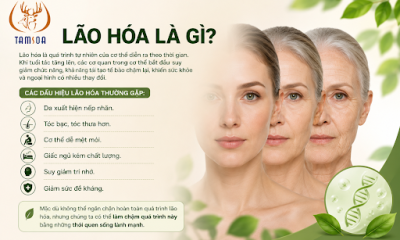 Lão Hóa Là Gì?