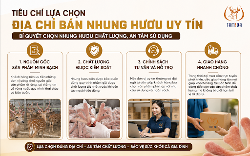 Tiêu Chí Lựa Chọn Địa Chỉ Bán Nhung Hươu Uy Tín Tiêu Chí Lựa Chọn Địa Chỉ Bán Nhung Hươu Uy Tín