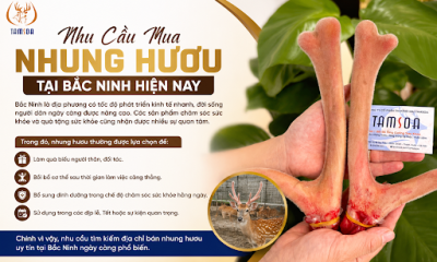 Nhu Cầu Mua Nhung Hươu Tại Bắc Ninh Hiện Nay