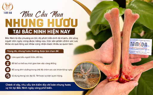 Nhu Cầu Mua Nhung Hươu Tại Bắc Ninh Hiện Nay Nhu Cầu Mua Nhung Hươu Tại Bắc Ninh Hiện Nay