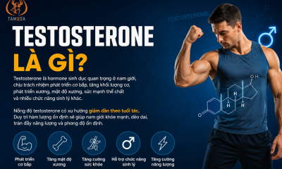 Testosterone Là Gì?