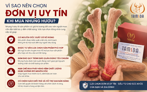 Vì Sao Nên Chọn Đơn Vị Uy Tín Khi Mua Nhung Hươu? Vì Sao Nên Chọn Đơn Vị Uy Tín Khi Mua Nhung Hươu?