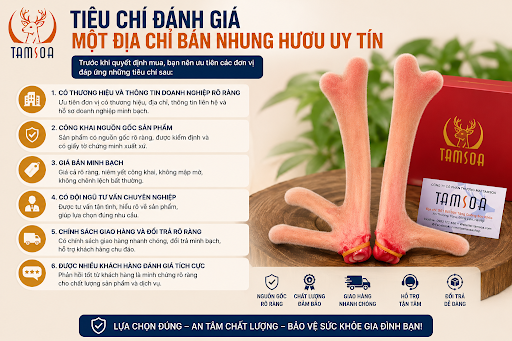 Tiêu Chí Đánh Giá Một Địa Chỉ Bán Nhung Hươu Uy Tín Tiêu Chí Đánh Giá Một Địa Chỉ Bán Nhung Hươu Uy Tín