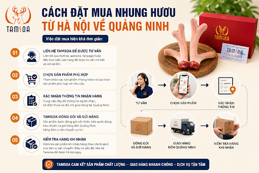 Cách Đặt Mua Nhung Hươu Từ Hà Nội Về Quảng Ninh Cách Đặt Mua Nhung Hươu Từ Hà Nội Về Quảng Ninh