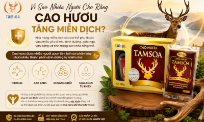 Vì Sao Nhiều Người Cho Rằng Cao Hươu Tăng Miễn Dịch?