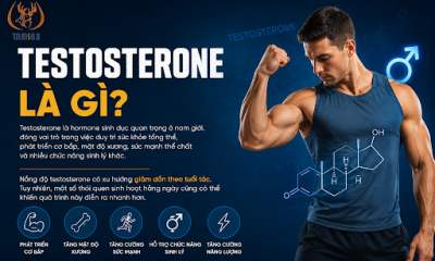 Testosterone Là Gì?