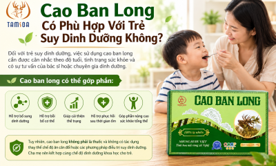 Cao ban Long Có Phù Hợp Với Trẻ Suy Dinh Dưỡng Không?