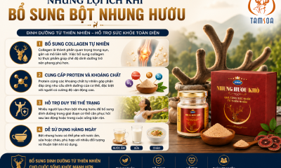 Những Lợi Ích Khi Bổ Sung Bột Nhung Hươu