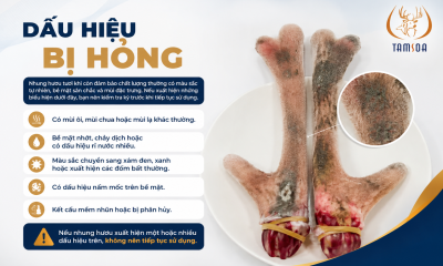 Dấu Hiệu Bị Hỏng