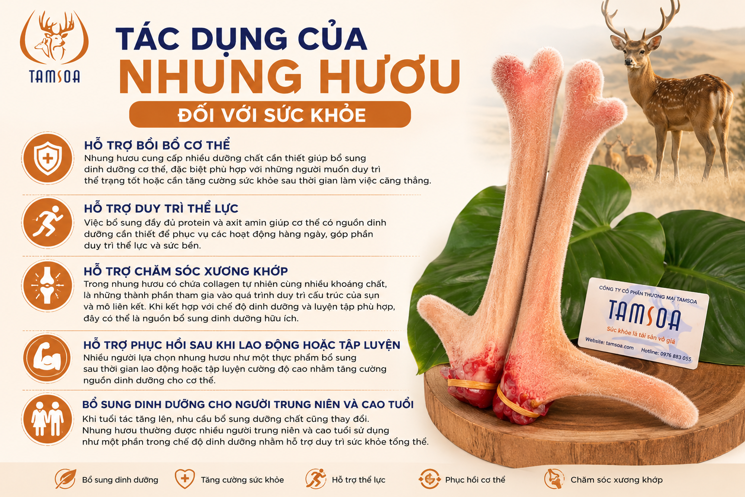Tác Dụng Của Nhung Hươu Đối Với Sức Khỏe Tác Dụng Của Nhung Hươu Đối Với Sức Khỏe