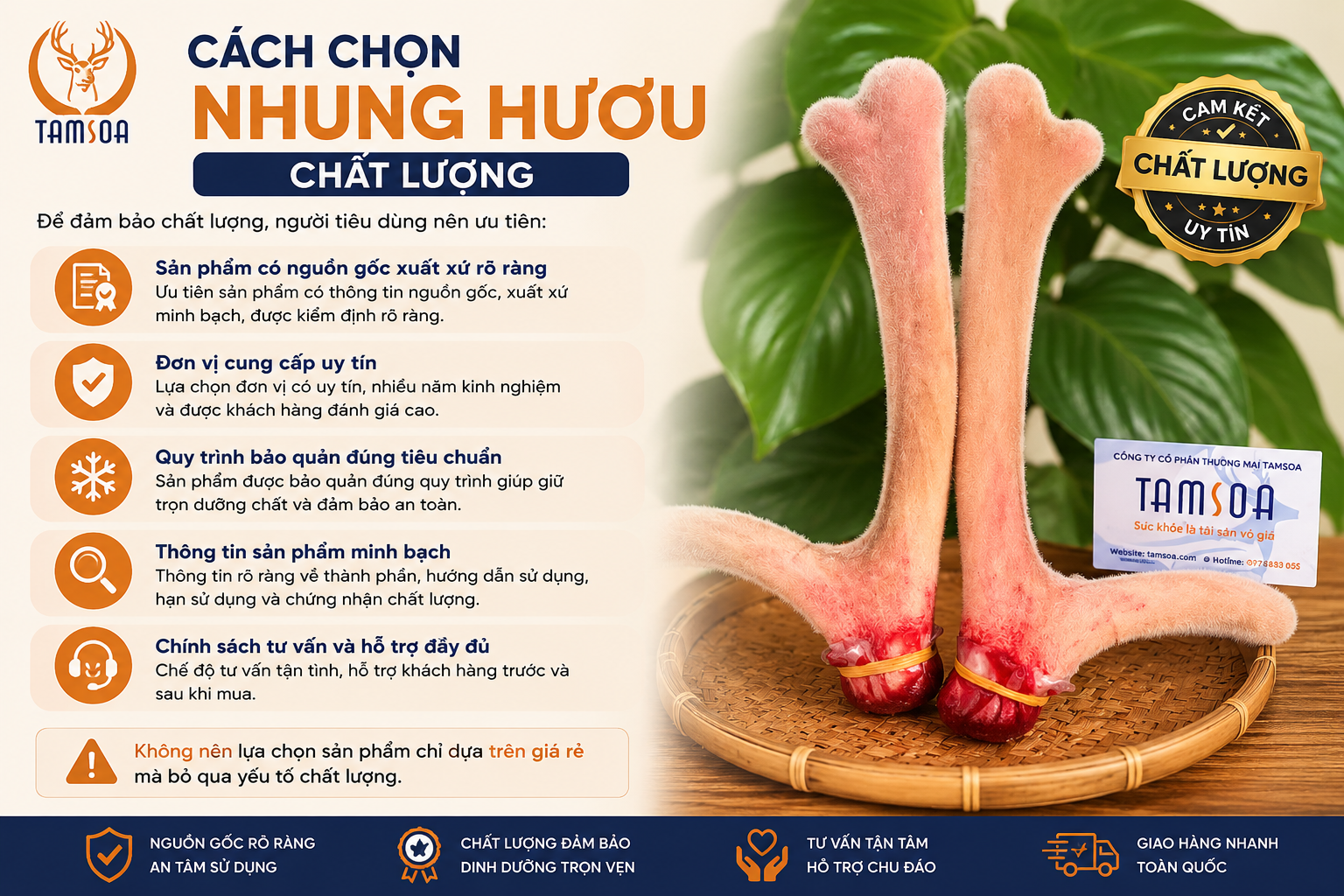 Cách Chọn Nhung Hươu Chất Lượng Cách Chọn Nhung Hươu Chất Lượng