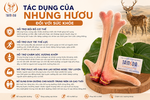 Tác Dụng Của Nhung Hươu Đối Với Sức Khỏe Tác Dụng Của Nhung Hươu Đối Với Sức Khỏe