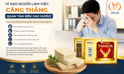 Vì Sao Người Làm Việc Căng Thẳng Quan Tâm Đến Cao Hươu?